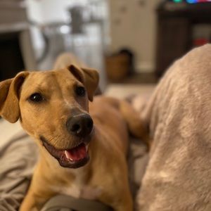 Meet your Posher, Andrew